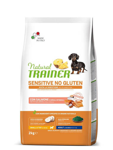 Natural Trainer No Gluten Mini Salmone 2Kg