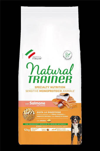 Natural Trainer No Gluten Salmone 12Kg