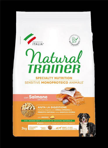 Natural Trainer No Gluten Salmone 3Kg
