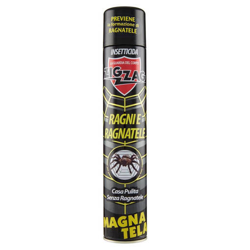 ZIG ZAG RAGNI E RAGNATELE