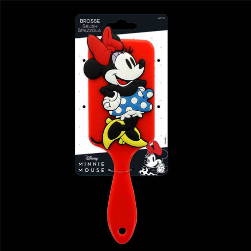 SPAZZOLA MINNIE