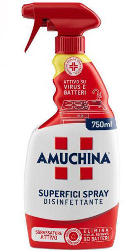Amuchina Superfici Spray Disinfettante 750 ml