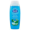 Roberts Doccia Shampoo Rinfrescante Eucalipto e Menta 250 ml