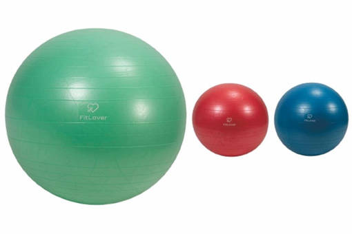 Fitlover Palla Fitness D75 C Pompa 3 Ass. 