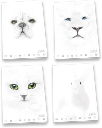 Pigna - Monocromo White - Maxi A4 PM 36+2 FF 100 Gr 0230791_0C