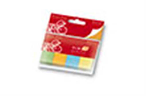 PIGNA - MISTER MEMO - 0224723 STICKERS SEGNA PAGINE FF 4X50 F.TO 2X5