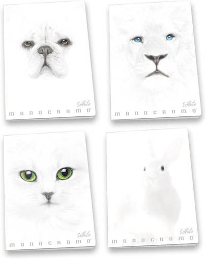 Pigna - Monocromo White - Maxi A4 PM 36+2 FF 100 Gr 0230791_0Q