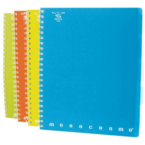 Pigna - Monocromo PPL Fluo - 0229157_1R Blocco con 5 Separatori Removibili 100+2 FF 80 GR