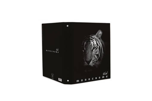 Pigna - Monocromo Black - Cartella ad Anelli A4 D30 0230858_30