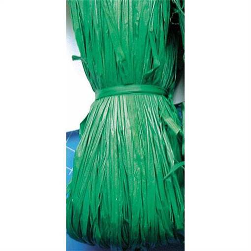 CWR - Rafia Naturale - Pacchetto Gr.50 - Verde Natale 04664