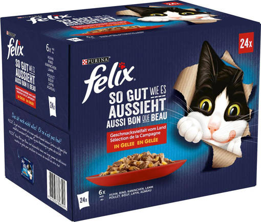 Felix Le Ghiottonerie 24X85G (MIX 