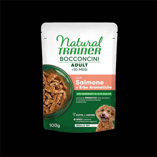 Natural Trainer Wet Small & Toy Chunks Salmone 100Gr*24