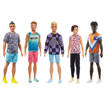 Mattel - Barbie - Ken Fashionistas ass.to DWK44
