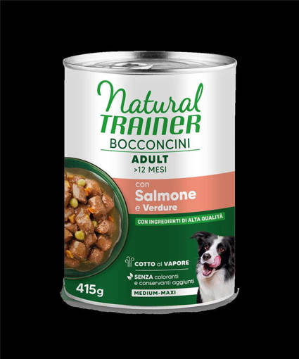 Natural Trainer Wet Medium & Maxi Chunks Salmone 415Gr*12