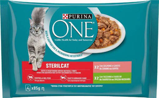 PURINA ONE Filettini X Gatti Ster.Bifensis C.Salmone&Tacc.4x85