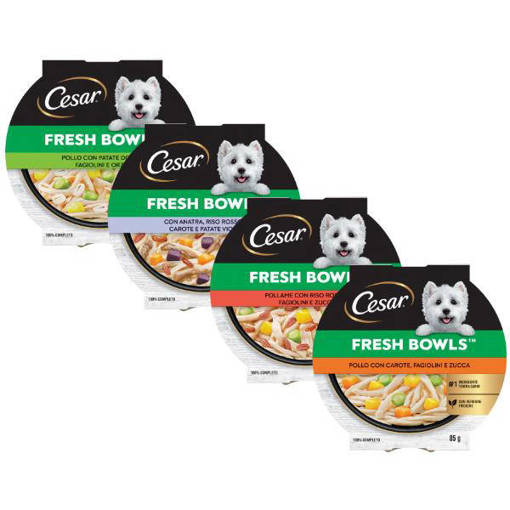 Cesar Fresh Bowls Anatra Riso 85gr