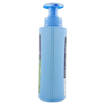 Felce Azzurra Sapone Liquido 300 ml Antibatterico
