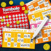 Lisciani - Giochi Di Società - Ludoteca Tombola Segna E Cancella 48 Cartelle 56996