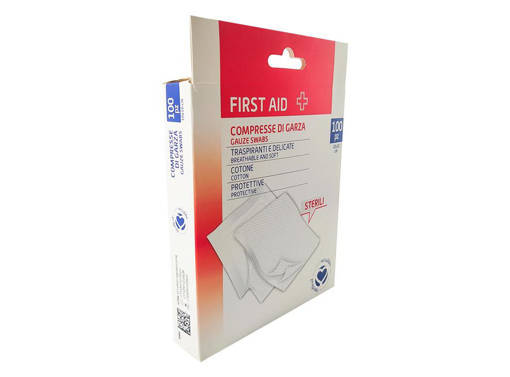 Compresse Di Garza 100Pz 10*10Cm F.