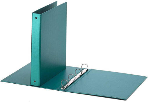 Favorit - Raccoglitore ad Anelli 22 x 30 cm D30 Europa Verde Metallizzato 400051119