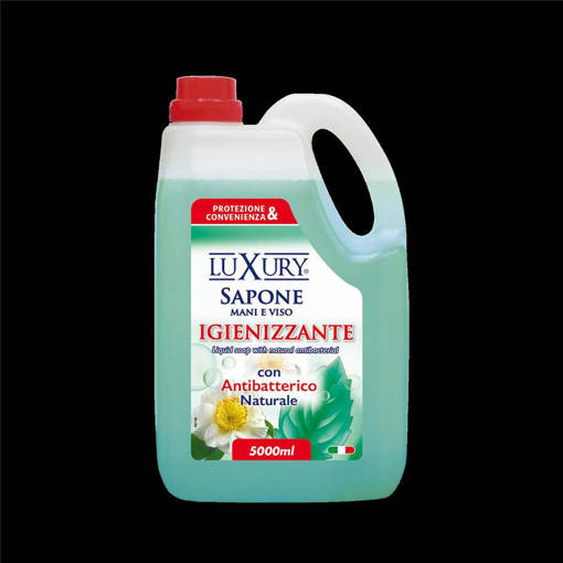 Luxury Sapone Igienizzante con Antibatterico lt.5