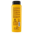 Vitalcare Professional Shampoo Secchi 500 ml
