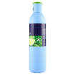 Felce Azzurra Bagno 650 ml Fresco